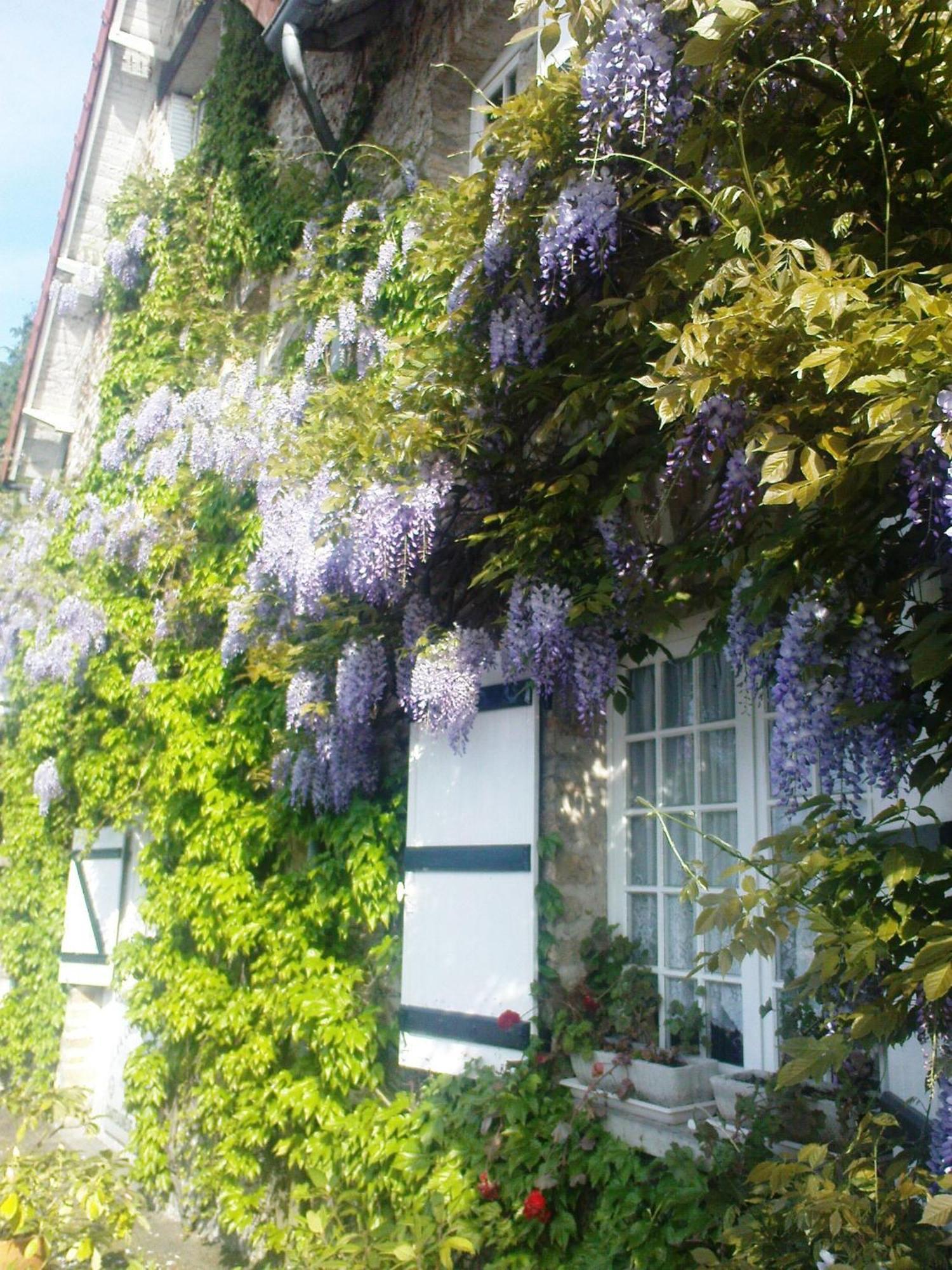 La Croix Du Reh Bed and Breakfast Châteauneuf-la-Forêt Εξωτερικό φωτογραφία